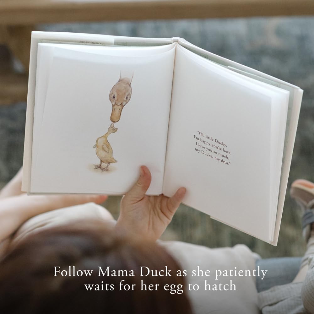 I've Loved You from the Start: A Board Book for Babies and Toddlers