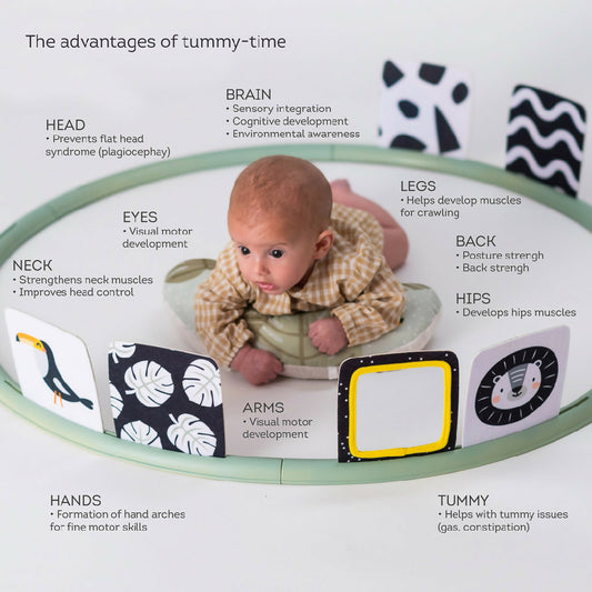 Taf Toys Tummy Time Trainer