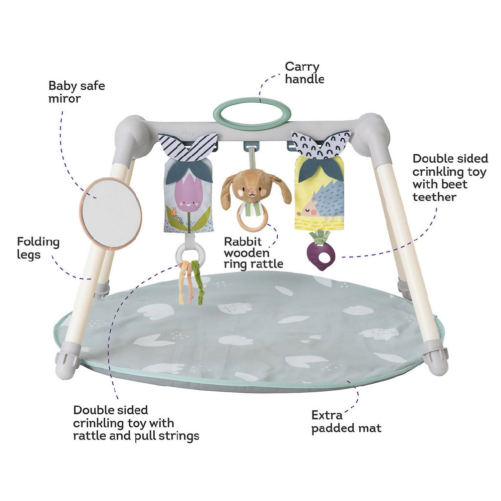 Taf Toys Urban Garden Foldable Play Gym