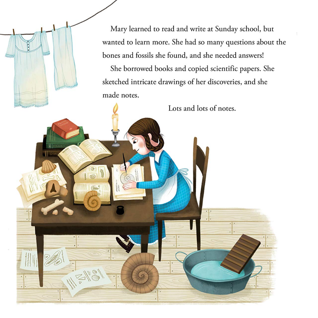 Dinosaur Lady: The Daring Discoveries of Mary Anning, the First Paleontologist - WERONE