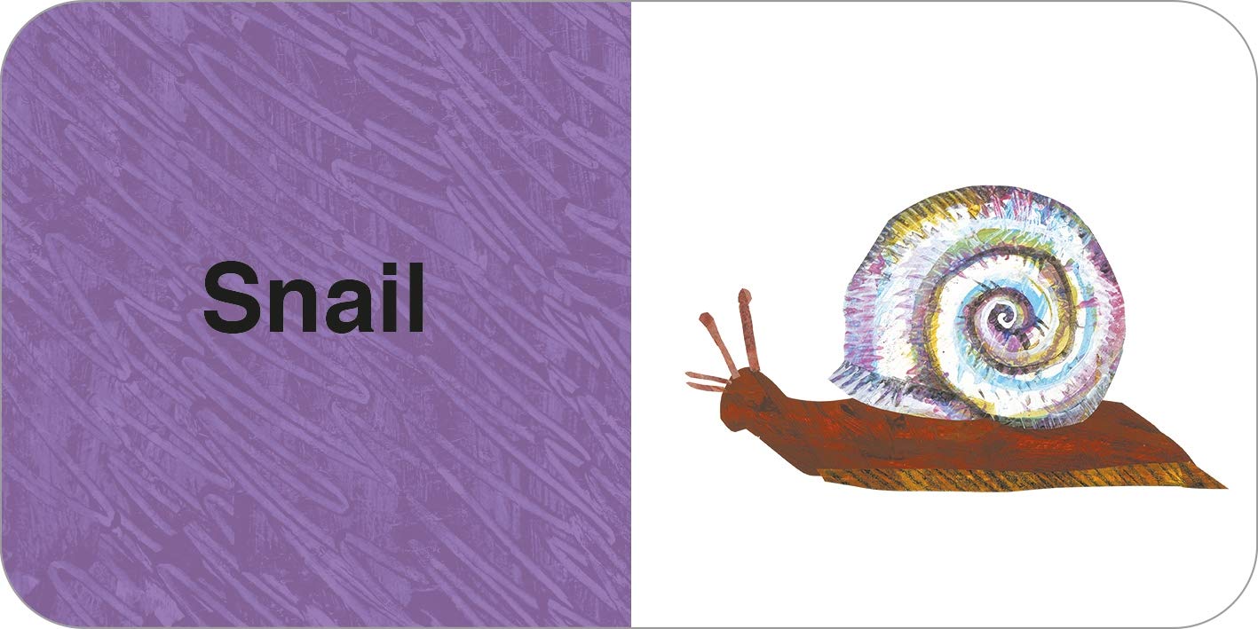 The World of Eric Carle: Big Box of Little Books - WERONE