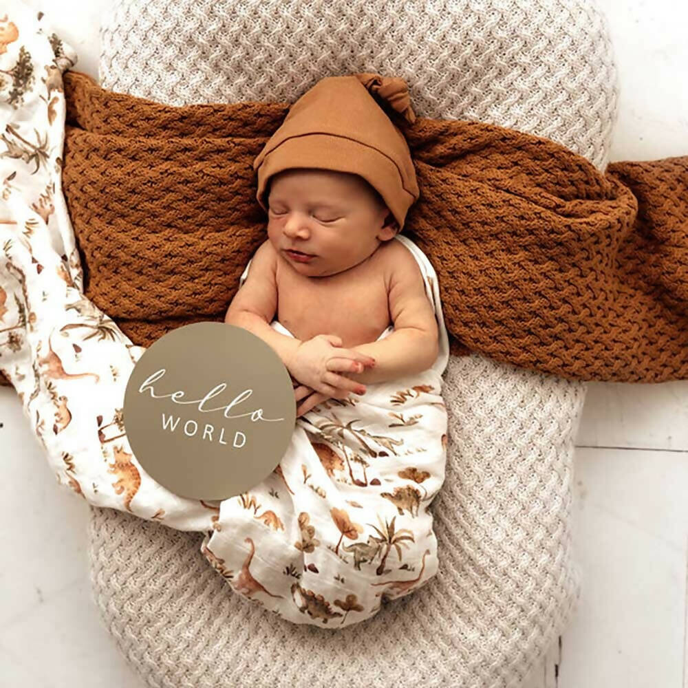 Snuggle Hunny Kids Reversible Milestone Cards (Dino & Dewkist) - WERONE