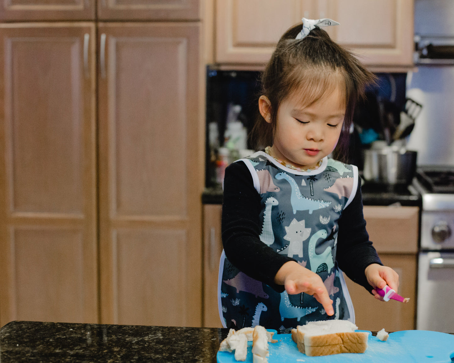 Dinosaur Drawing Bapron - WERONE