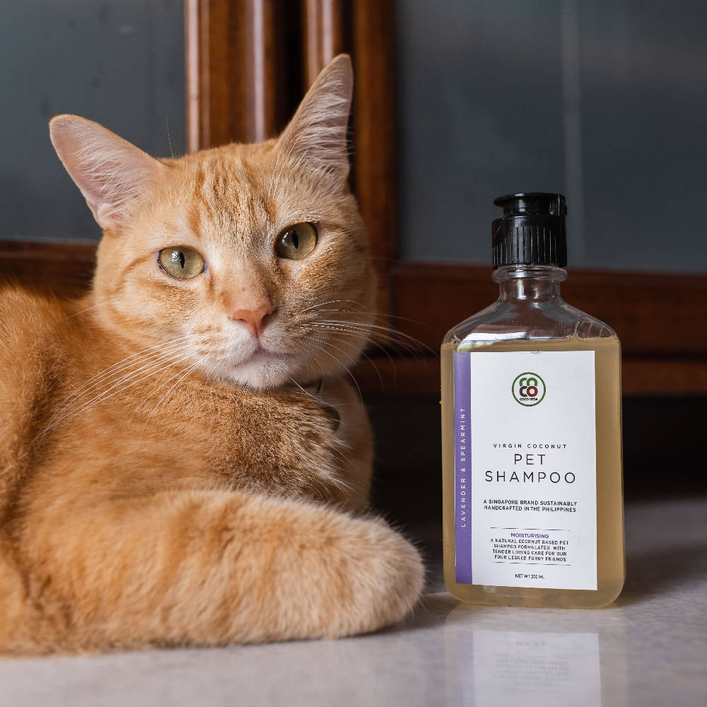 Moisturising Pet Shampoo - WERONE