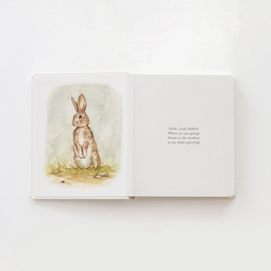 Our Little Adventures Series: A Modern Heirloom Books Set - WERONE