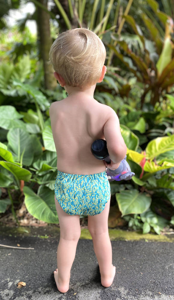 Reusable Cloth Diaper- Wattle - WERONE