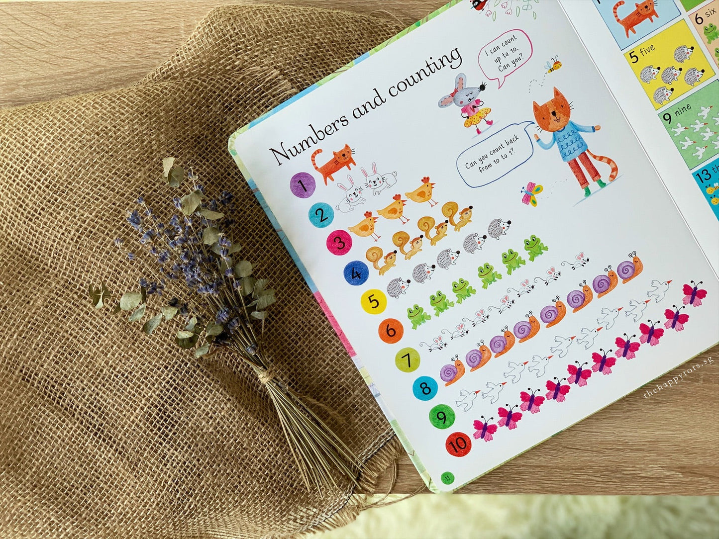 All You Need To Know Before You Start School - WERONE