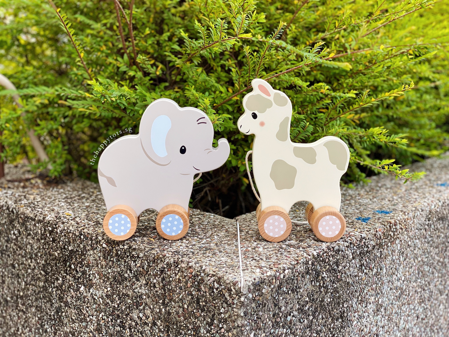 Ellie the Elephant Push and Pull Toy - WERONE