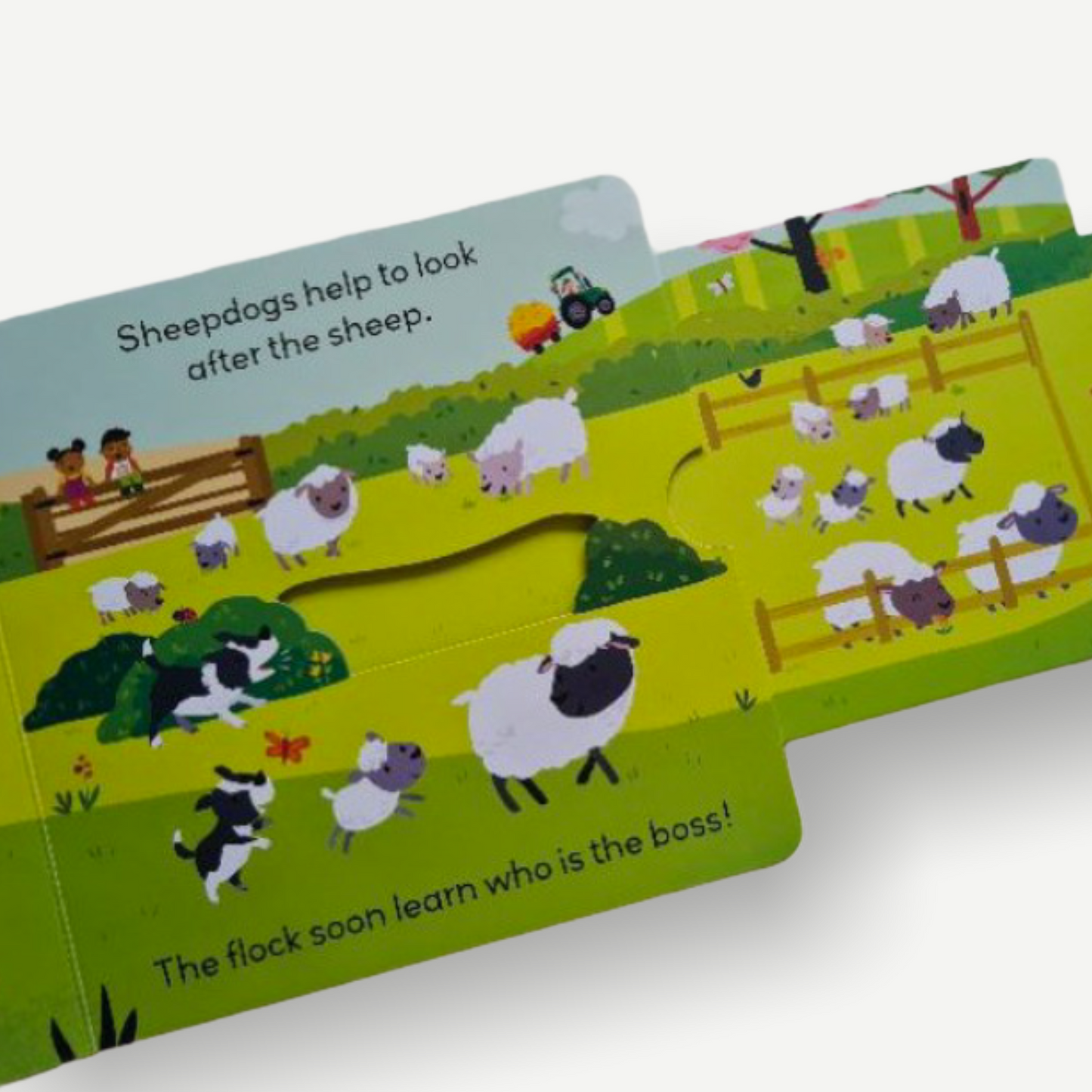 Little World: On the Farm: A push-and-pull adventure - WERONE