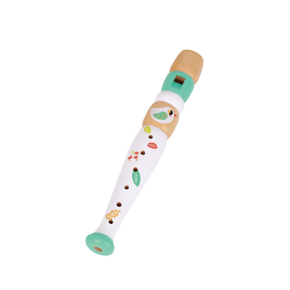 Tookyland - Music Instrument Set - WERONE