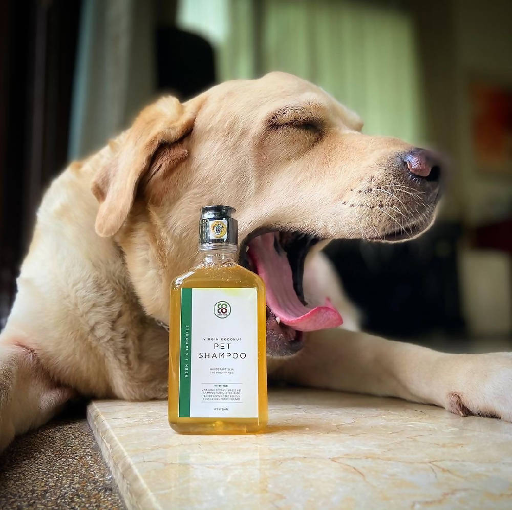 Anti-Itch Pet Shampoo - WERONE