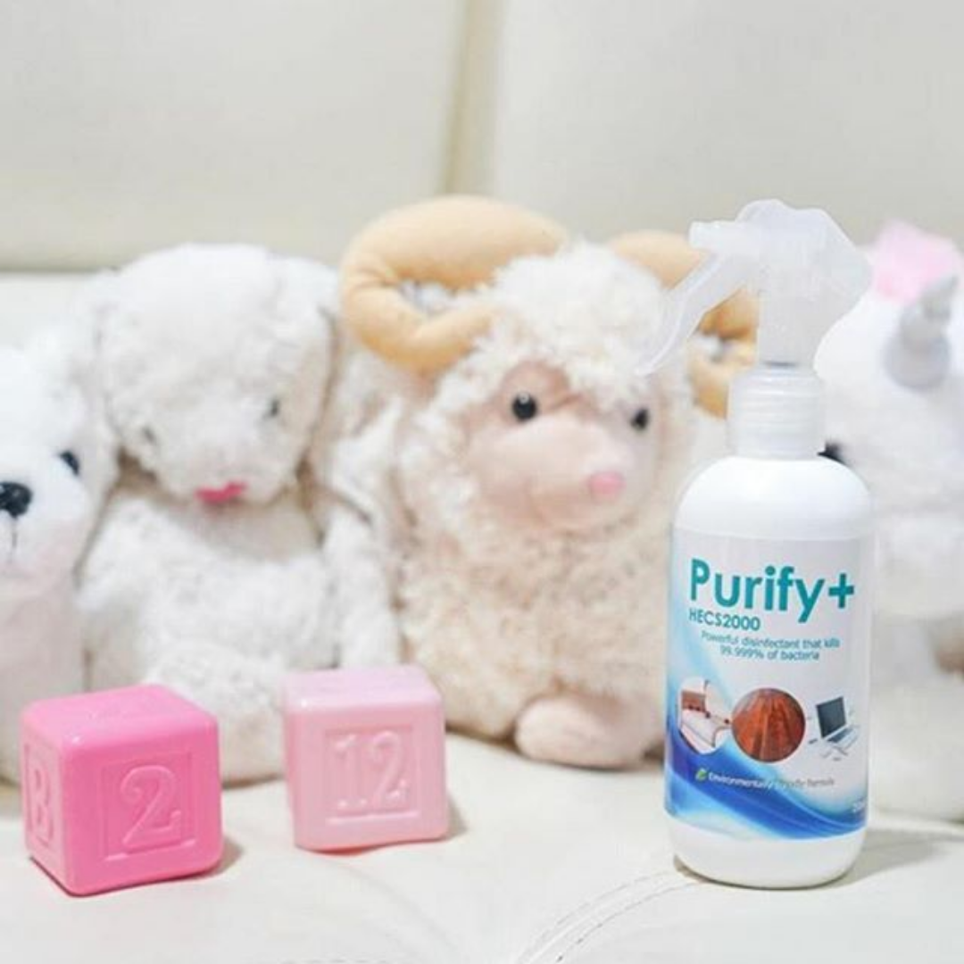 Purify+