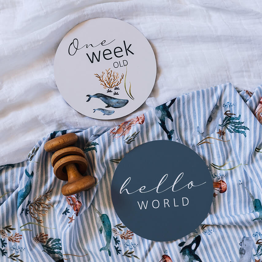 Snuggle Hunny Kids Reversible Milestone Cards (Whale & Azure)