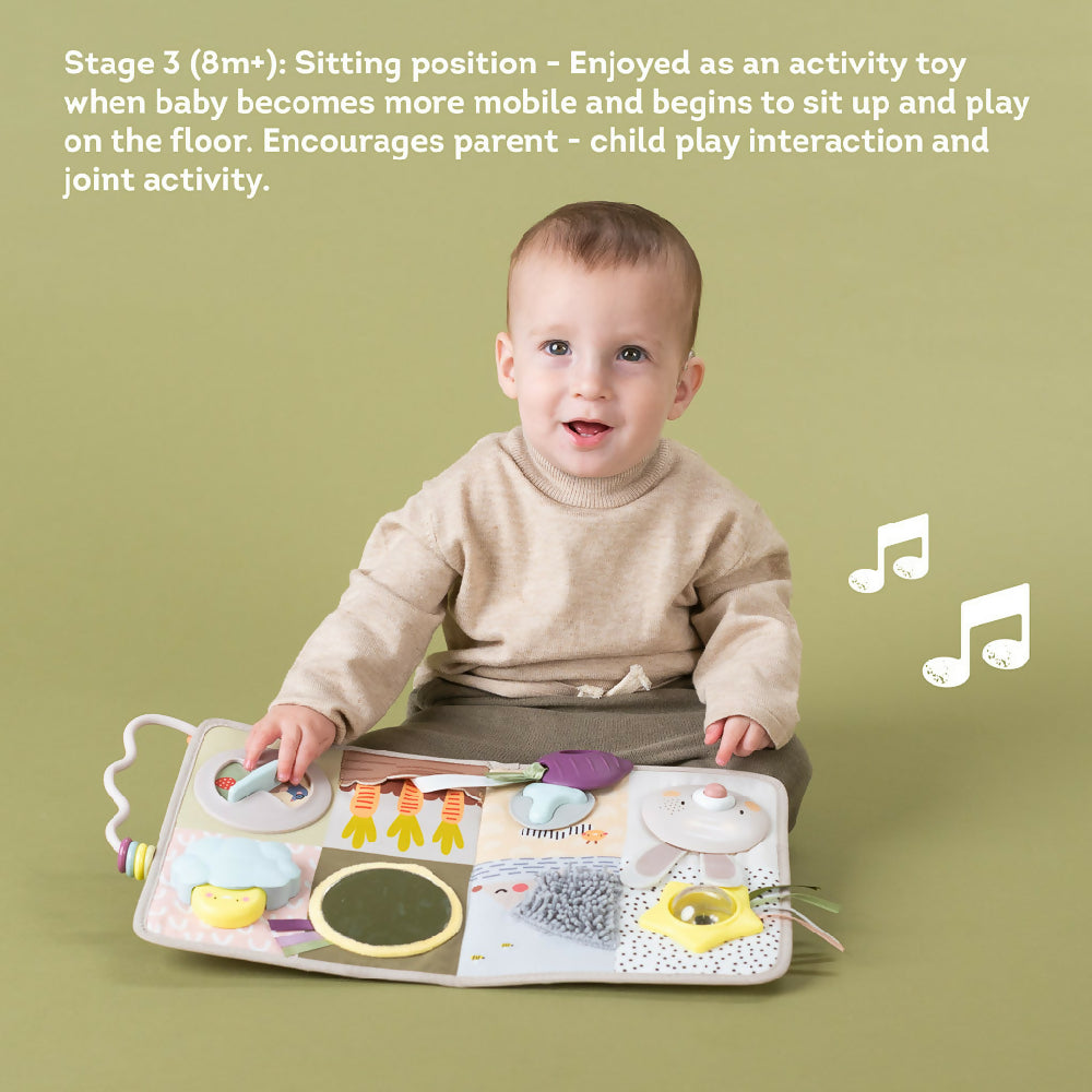 Taf Toys Developmental Activity Center