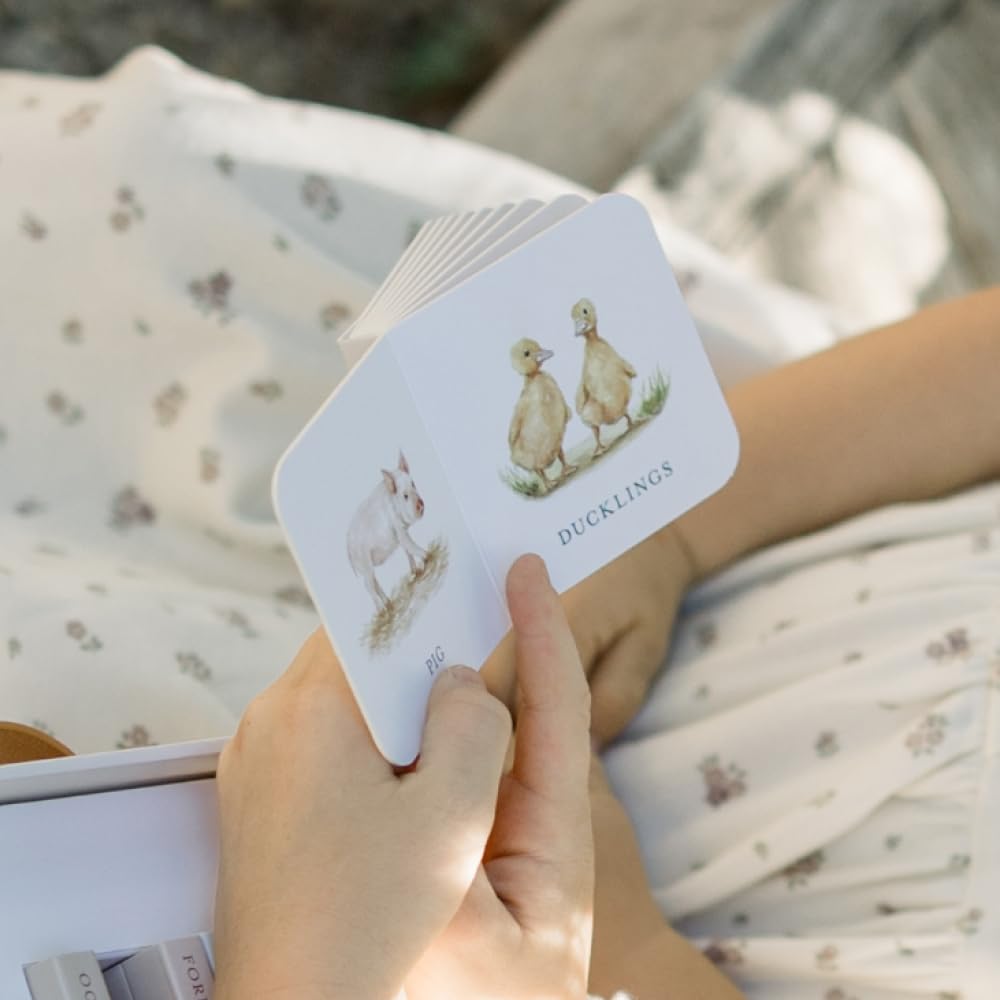Our Very Little Library Board Book Set by Tabitha Paige