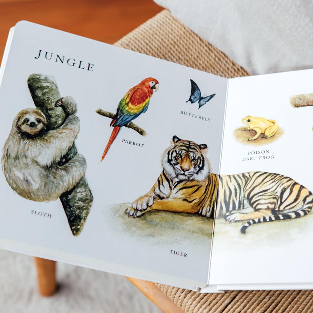 Our Big Book of Animals by Tabitha Paige