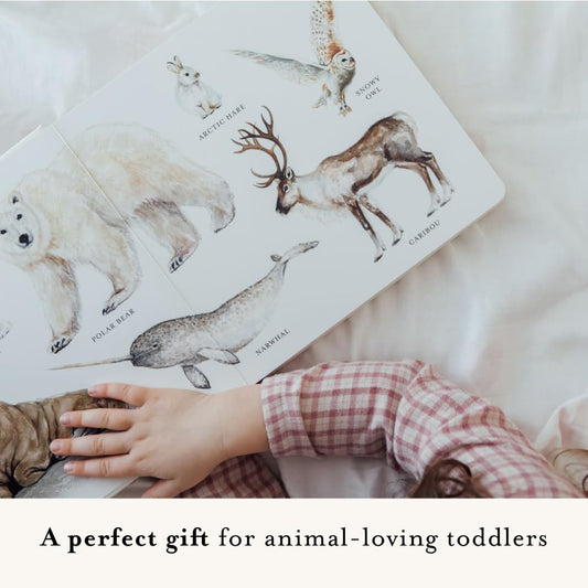 Our Big Book of Animals by Tabitha Paige