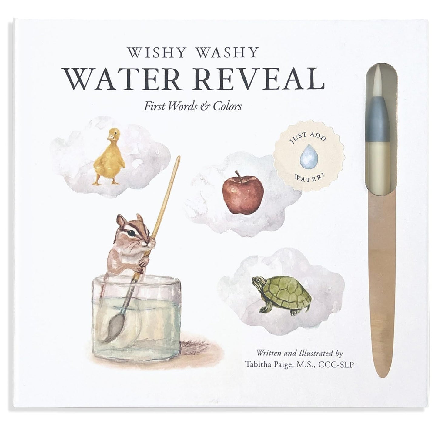 Wishy Washy (Water Reveal Edition) A Reusable Water Reveal Activity Book Teaching First Words and Colors