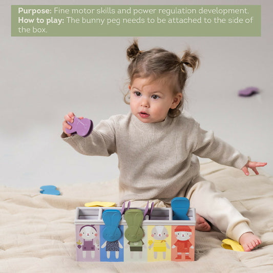 Taf Toys Bunny School Match & Count Toy