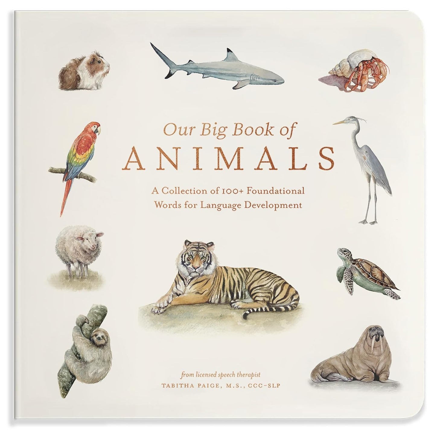 Our Big Book of Animals by Tabitha Paige