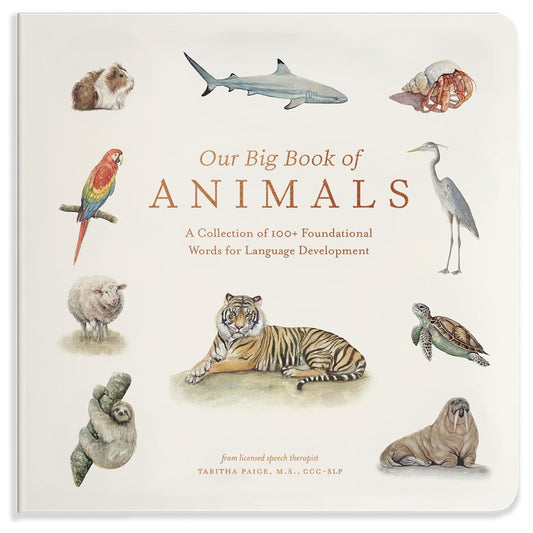 Our Big Book of Animals by Tabitha Paige