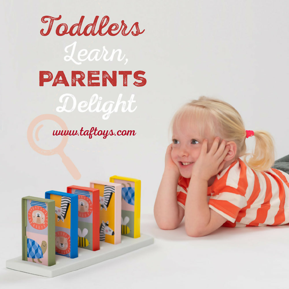 Taf Toys My 1st Domino Rally