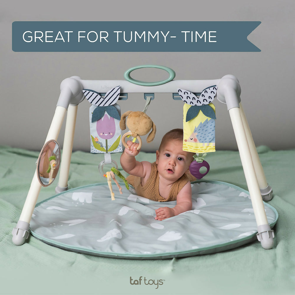 Taf Toys Urban Garden Foldable Play Gym