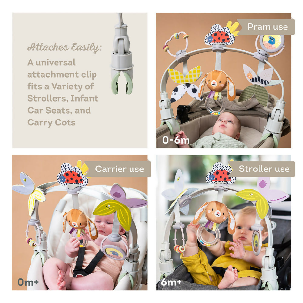 Taf Toys Grow with Me Activity Arch