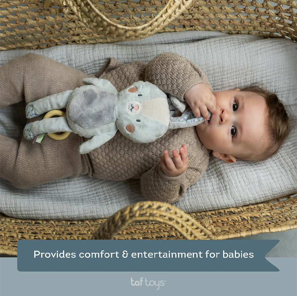 Taf Toys Urban Garden Rylee Musical Bunny