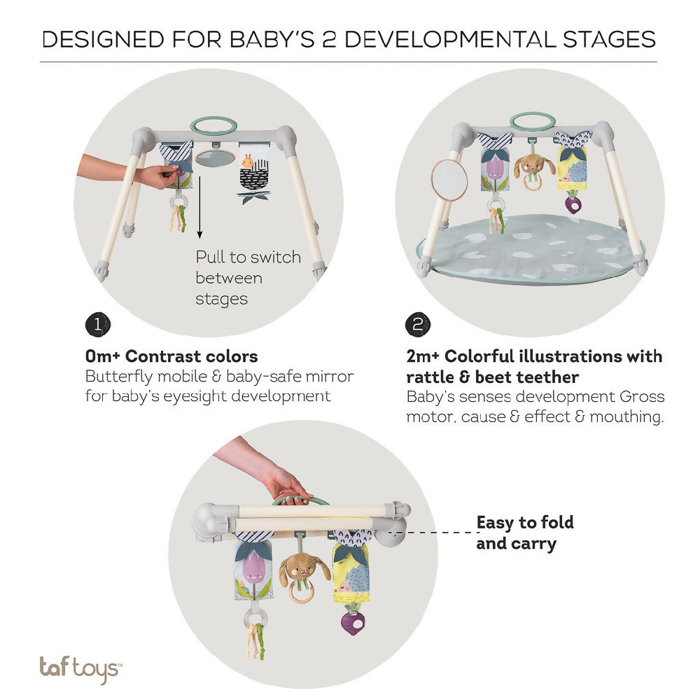 Taf Toys Urban Garden Foldable Play Gym
