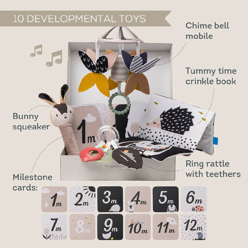 Taf Toys Newborn Black & White Gift Kit