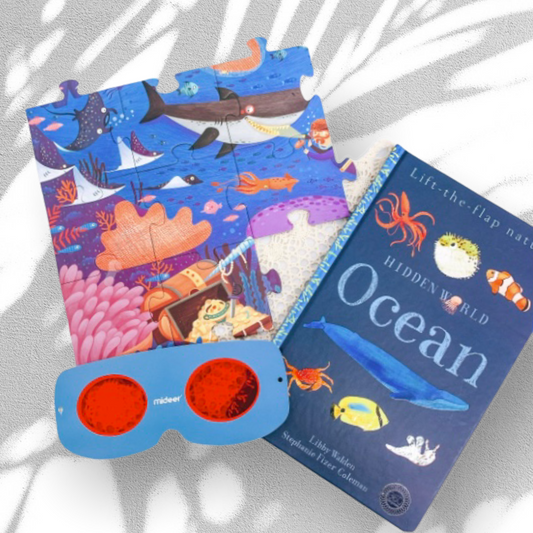 Hidden World Ocean Puzzle Book Bundle