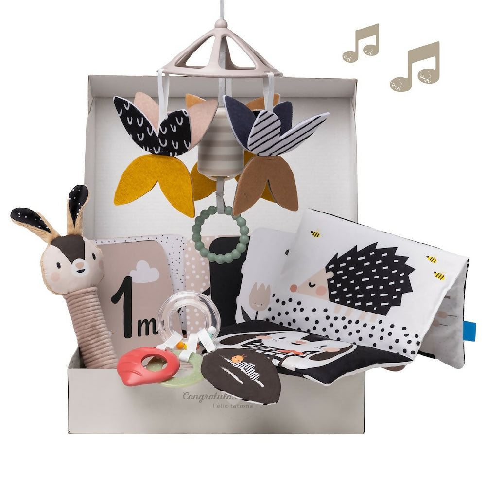 Taf Toys Newborn Black & White Gift Kit