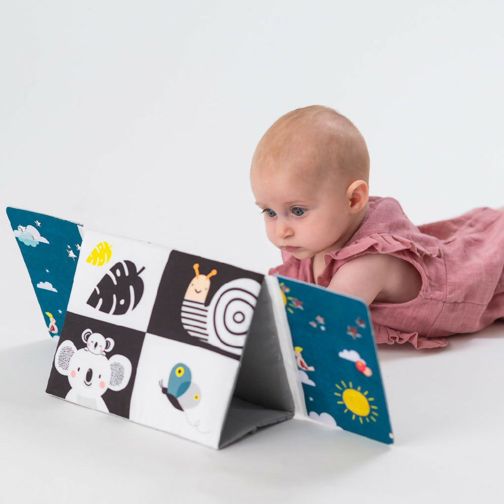 Taf Toys Tummy-Time Mirror Book