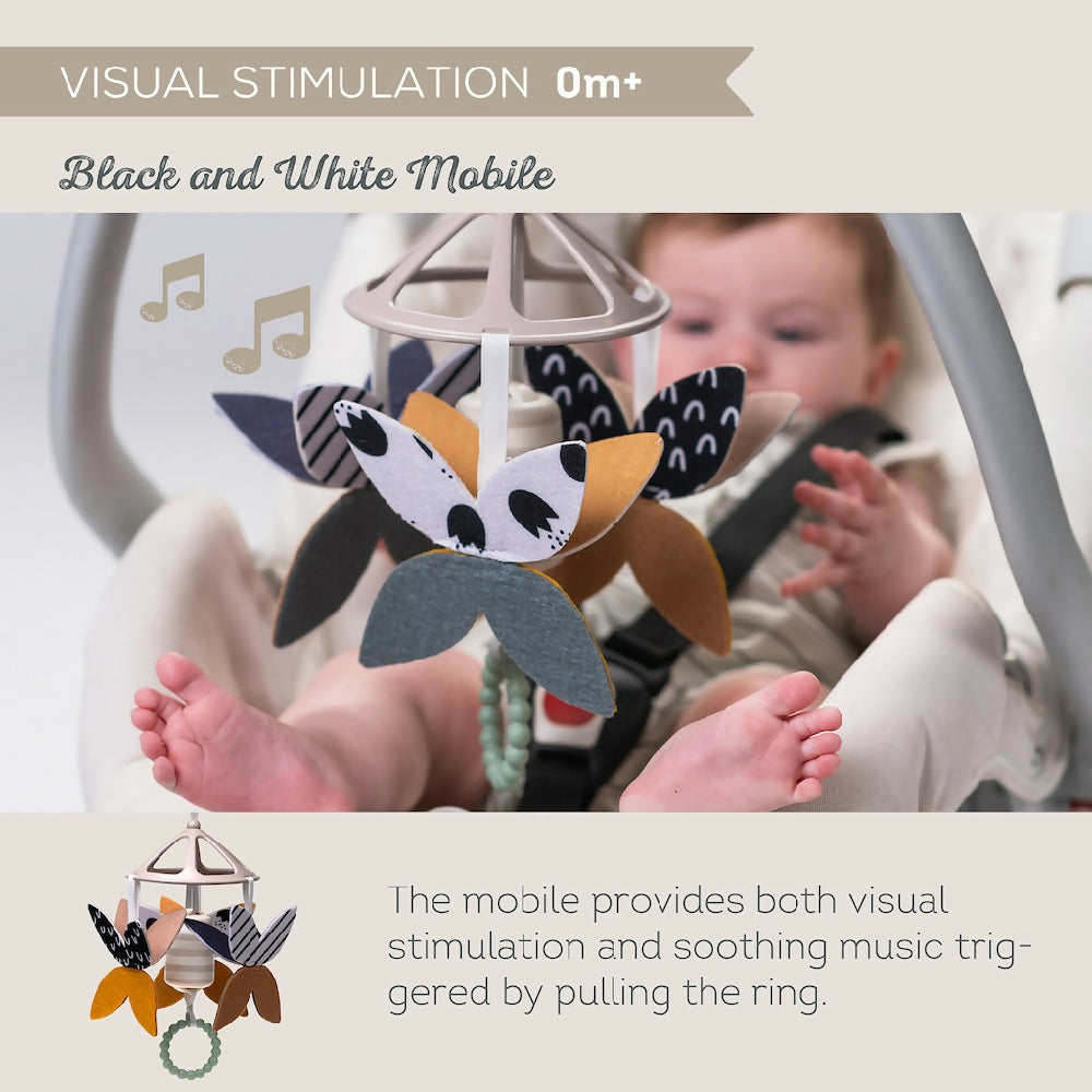 Taf Toys Newborn Black & White Gift Kit