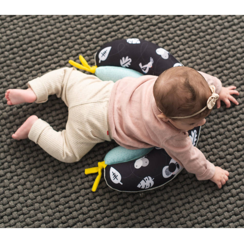 Taf Toys 2 in 1 Tummy Time Pillow - WERONE
