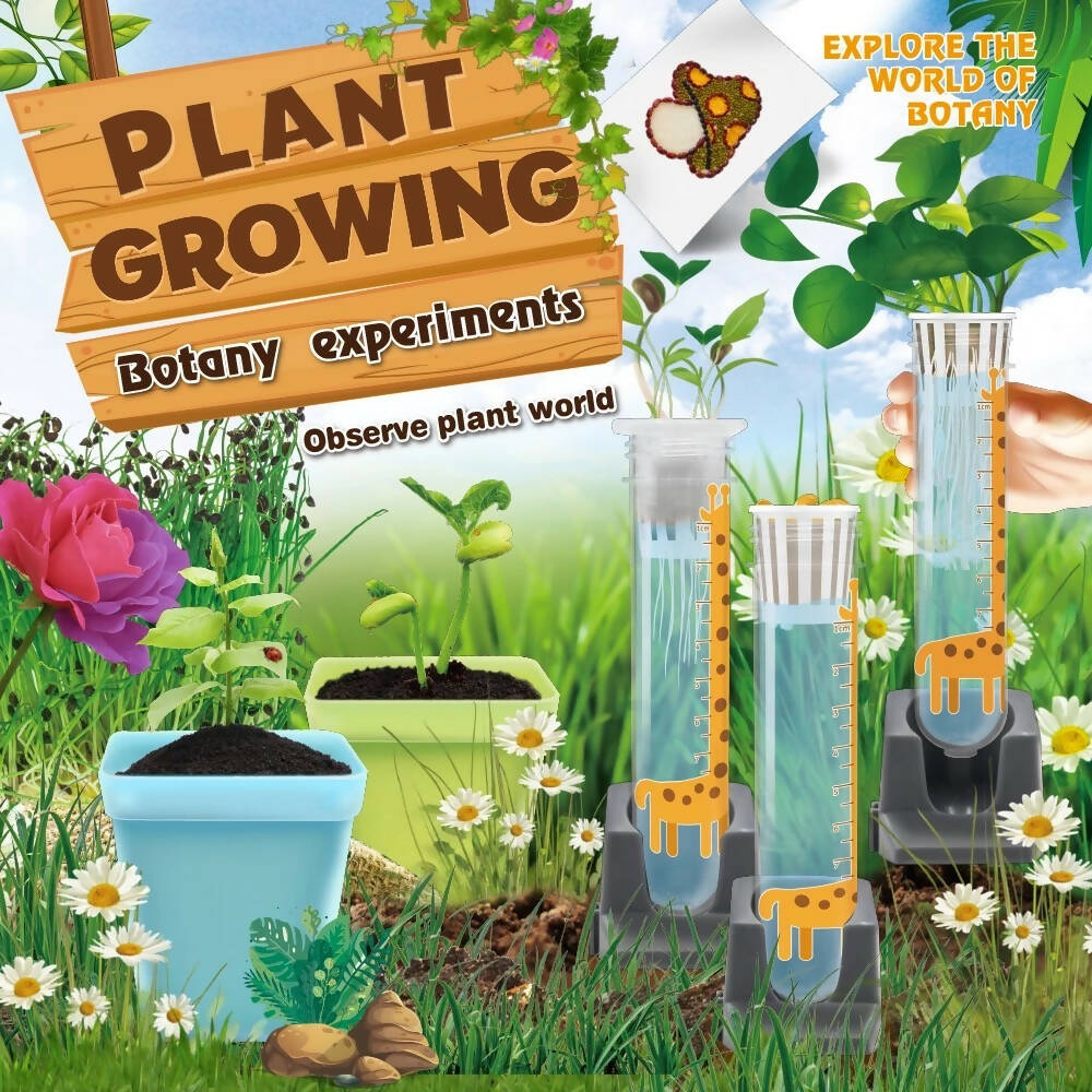 Plant Growing Learning Kit Children Educational Toys DIY Educational Kits for Kids - WERONE
