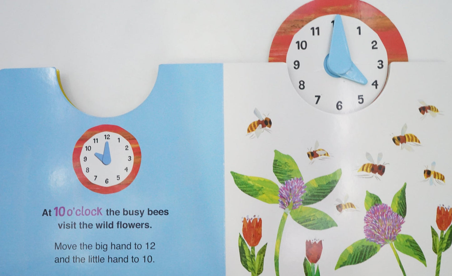 The World of Eric Carle: What's the Time? - WERONE
