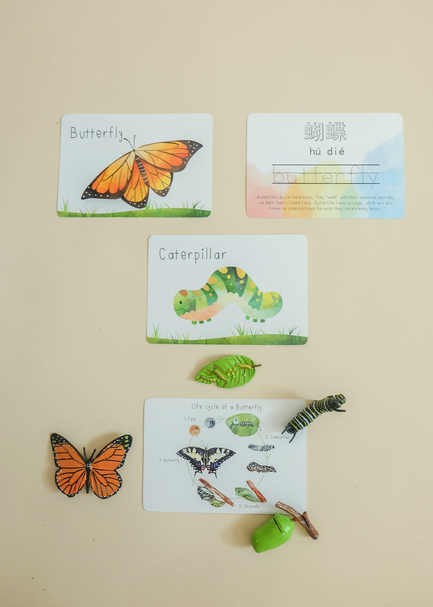 Kids Rewritable In The Garden Flashcards + Drawstring Pouch - WERONE