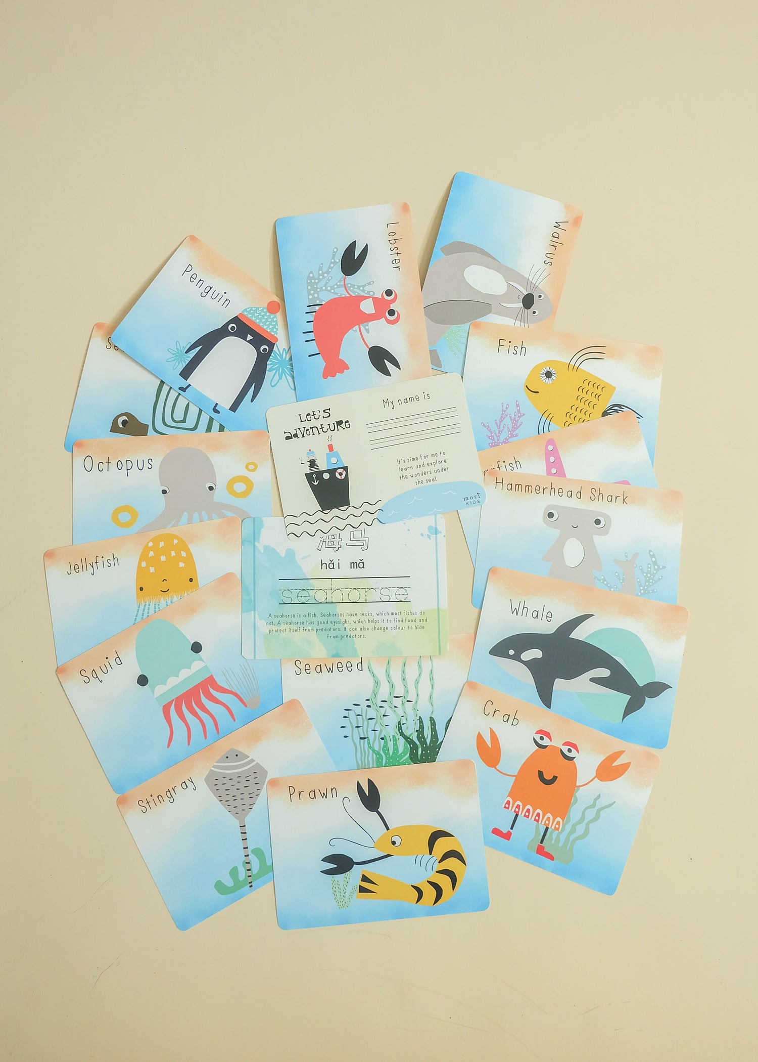 Kids Rewritable Under The Sea Flashcards + Drawstring Pouch - WERONE