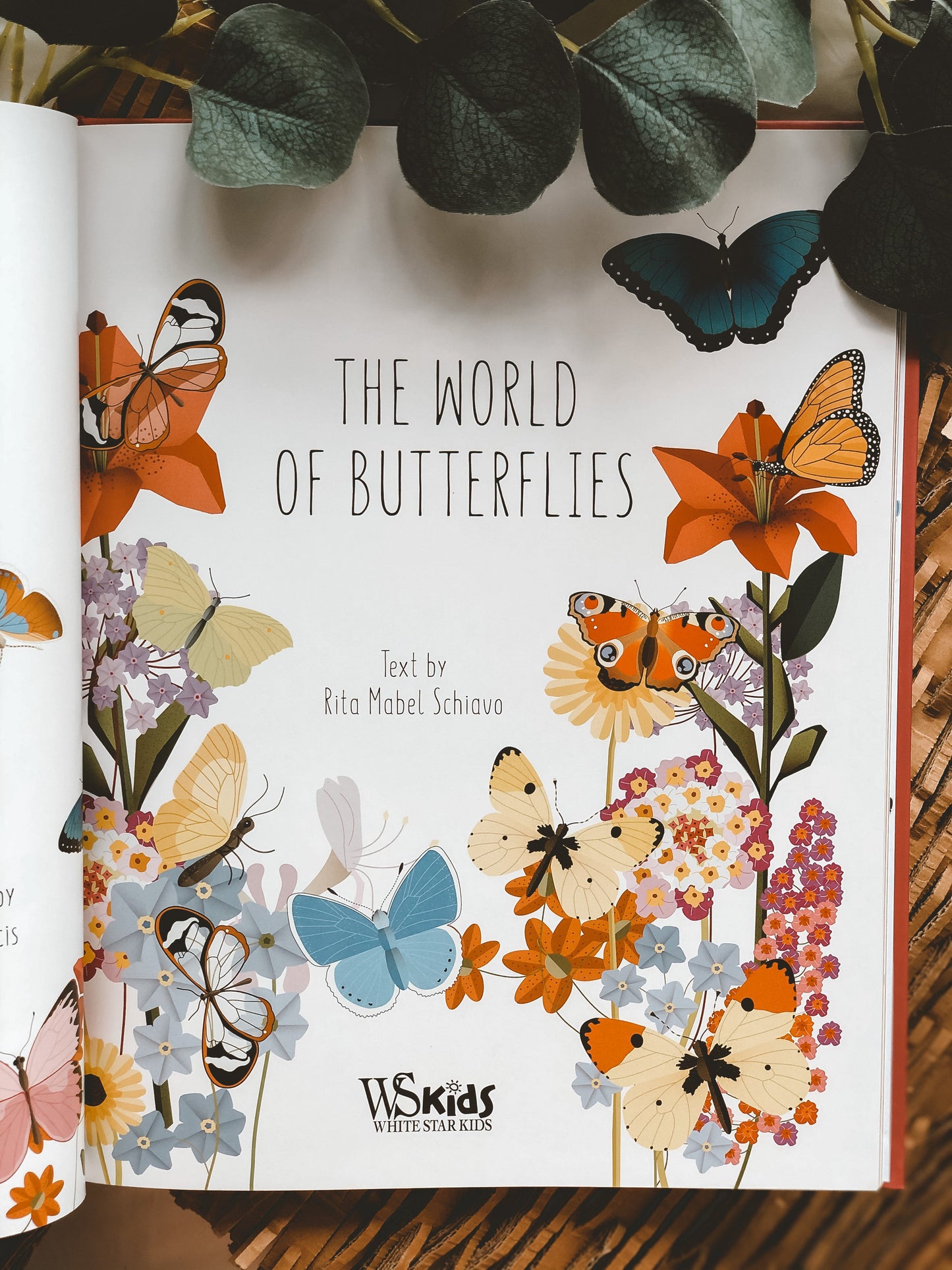 The World Of Butterflies - WERONE