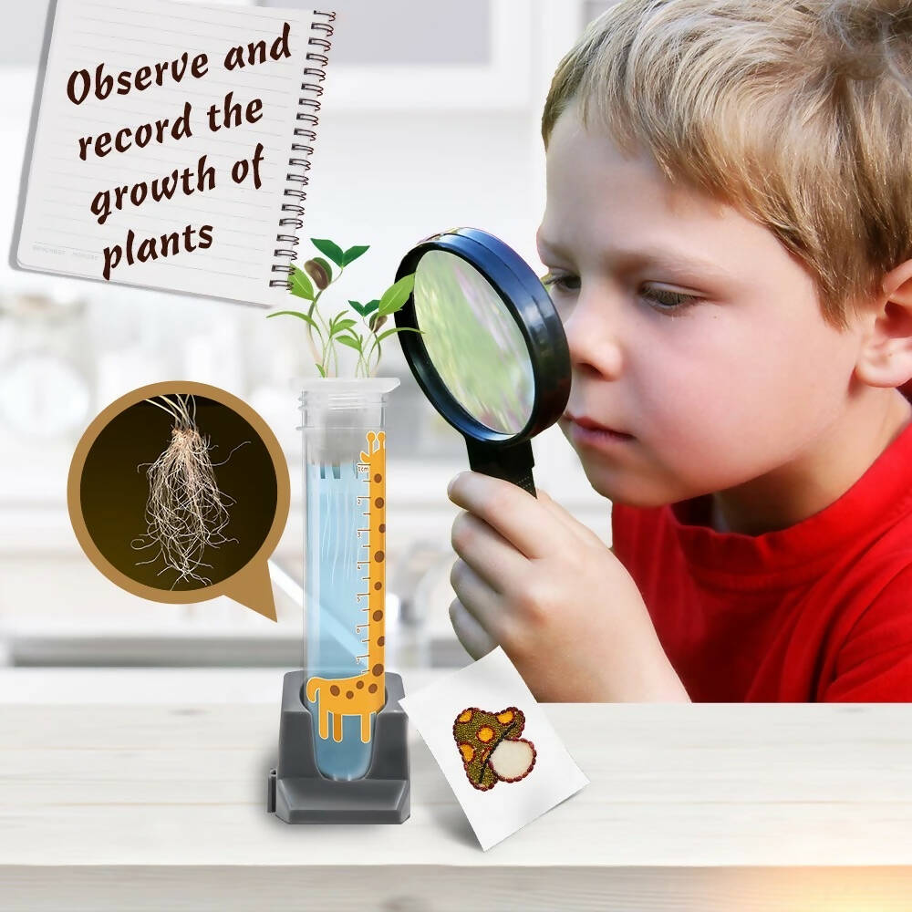 Plant Growing Learning Kit Children Educational Toys DIY Educational Kits for Kids - WERONE