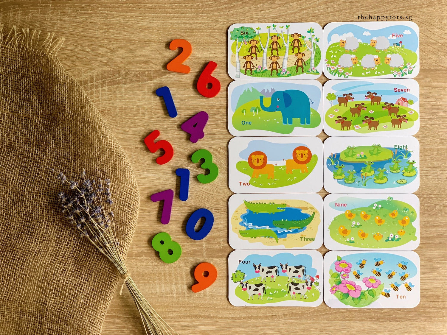 Alphabets and Numbers Learning Flashcards - WERONE