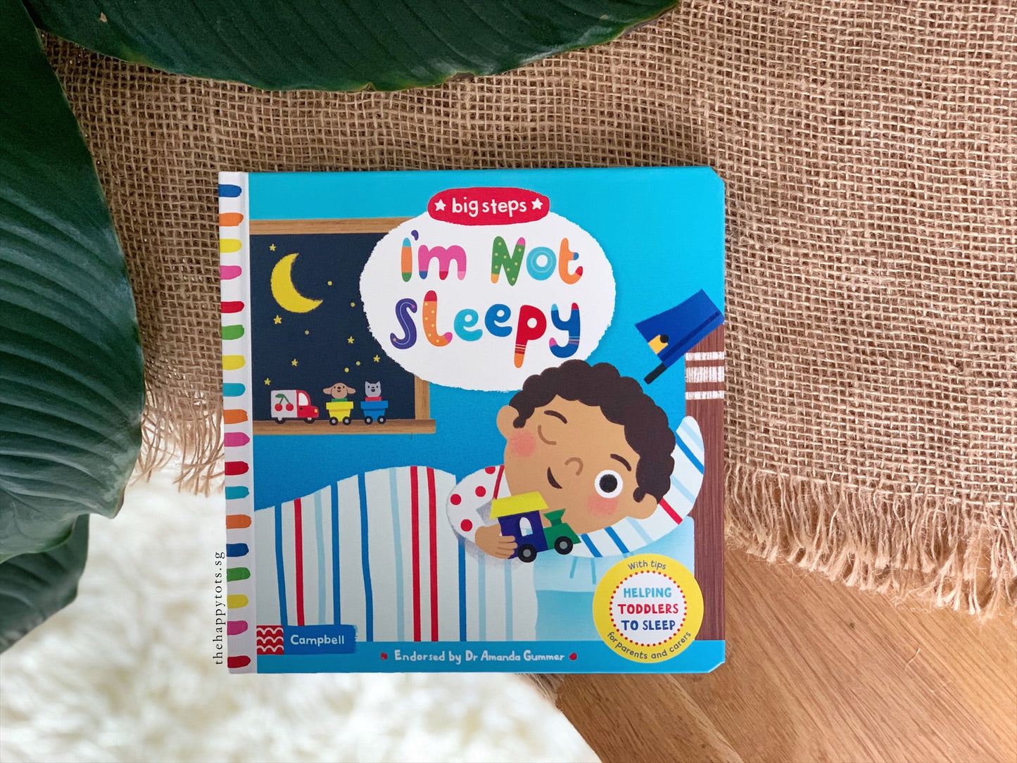 Big Steps - I'm Not Sleepy (Helping Toddlers to Sleep) - WERONE