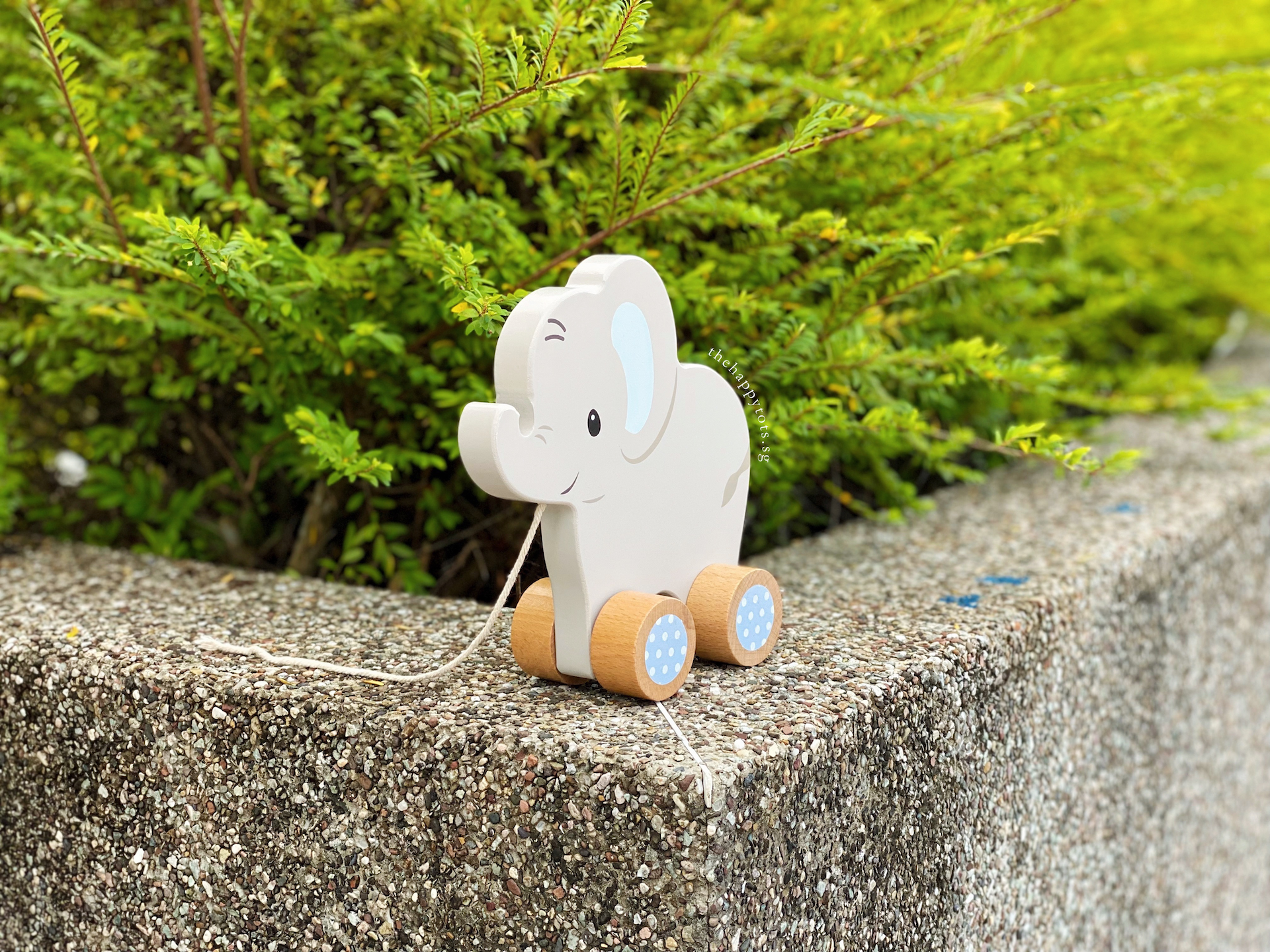 Ellie the Elephant Push and Pull Toy - WERONE