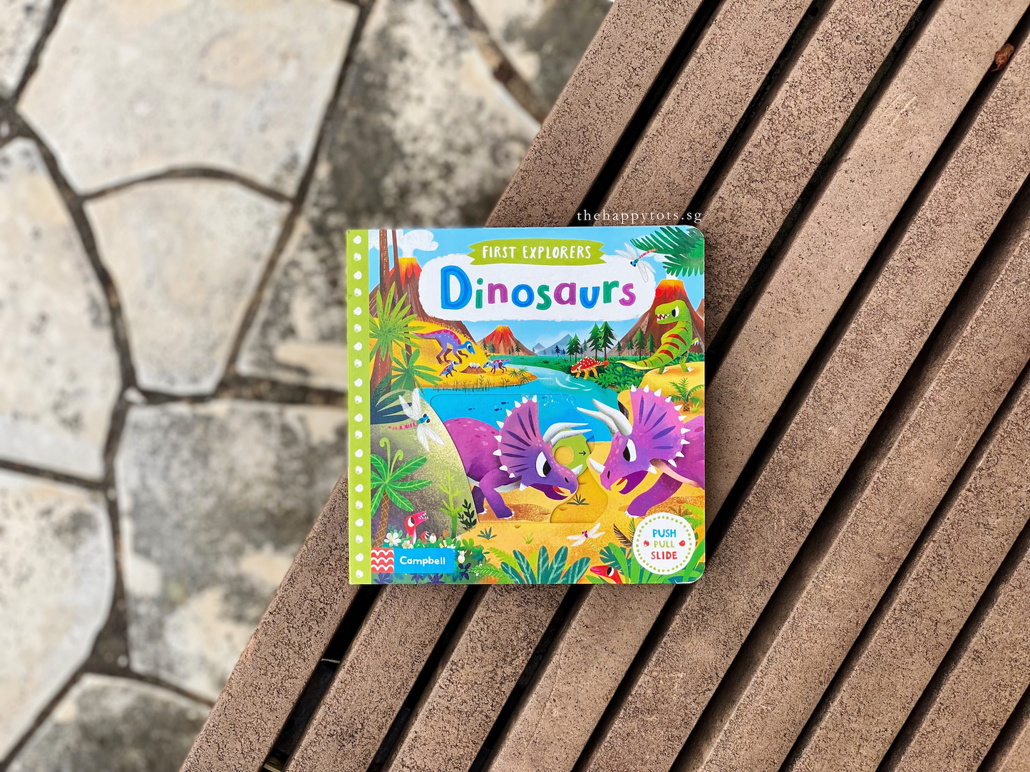 [TODDLER GIFT SET] For the Dino Lover - WERONE