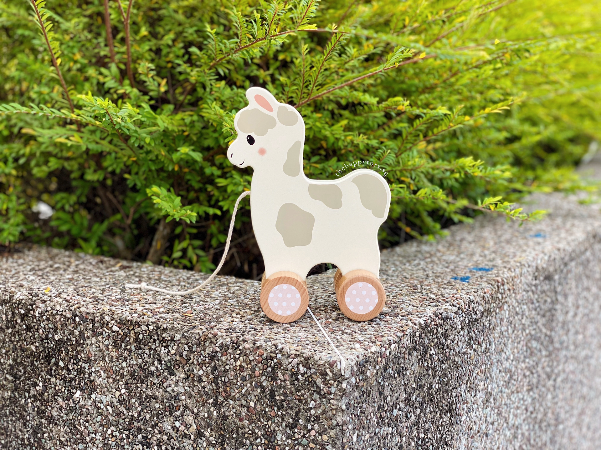 Lana the Llama Push and Pull Toy - WERONE