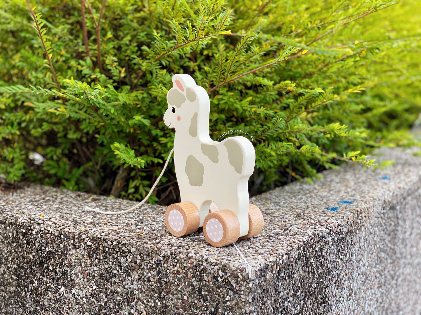 Lana the Llama Push and Pull Toy - WERONE