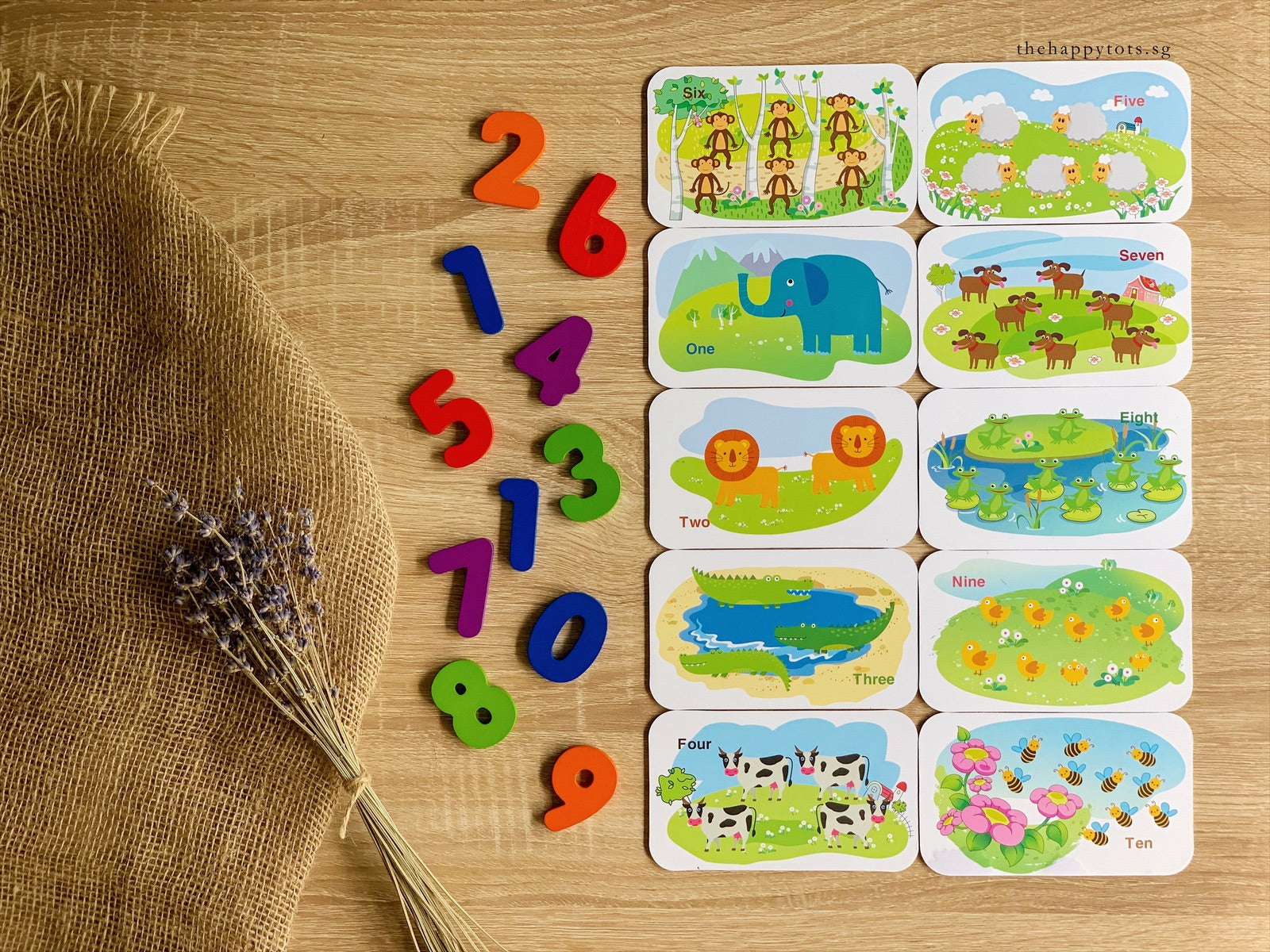 [GIFT SET] All About Alphabets and Numbers - WERONE