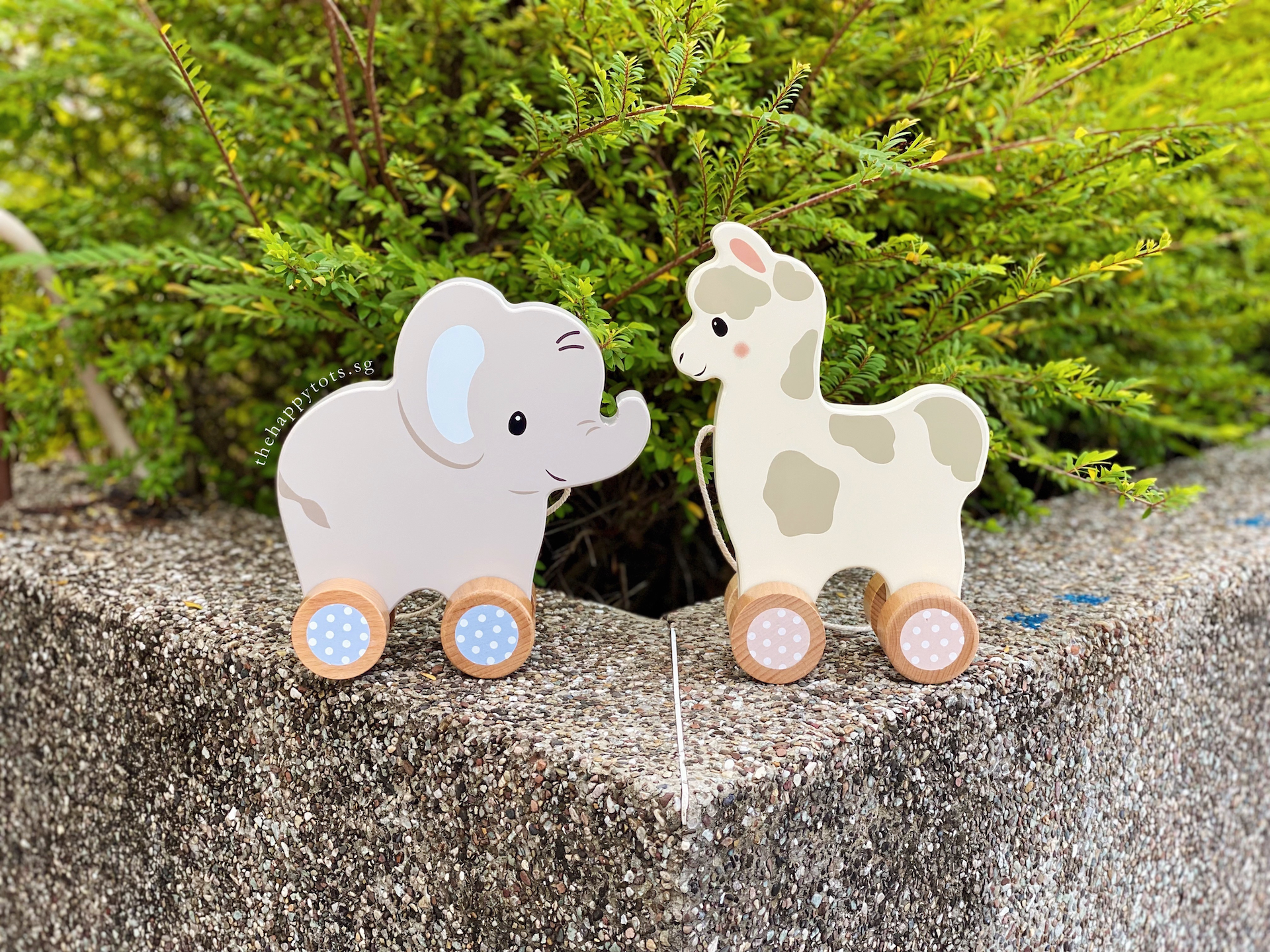 Ellie the Elephant Push and Pull Toy - WERONE